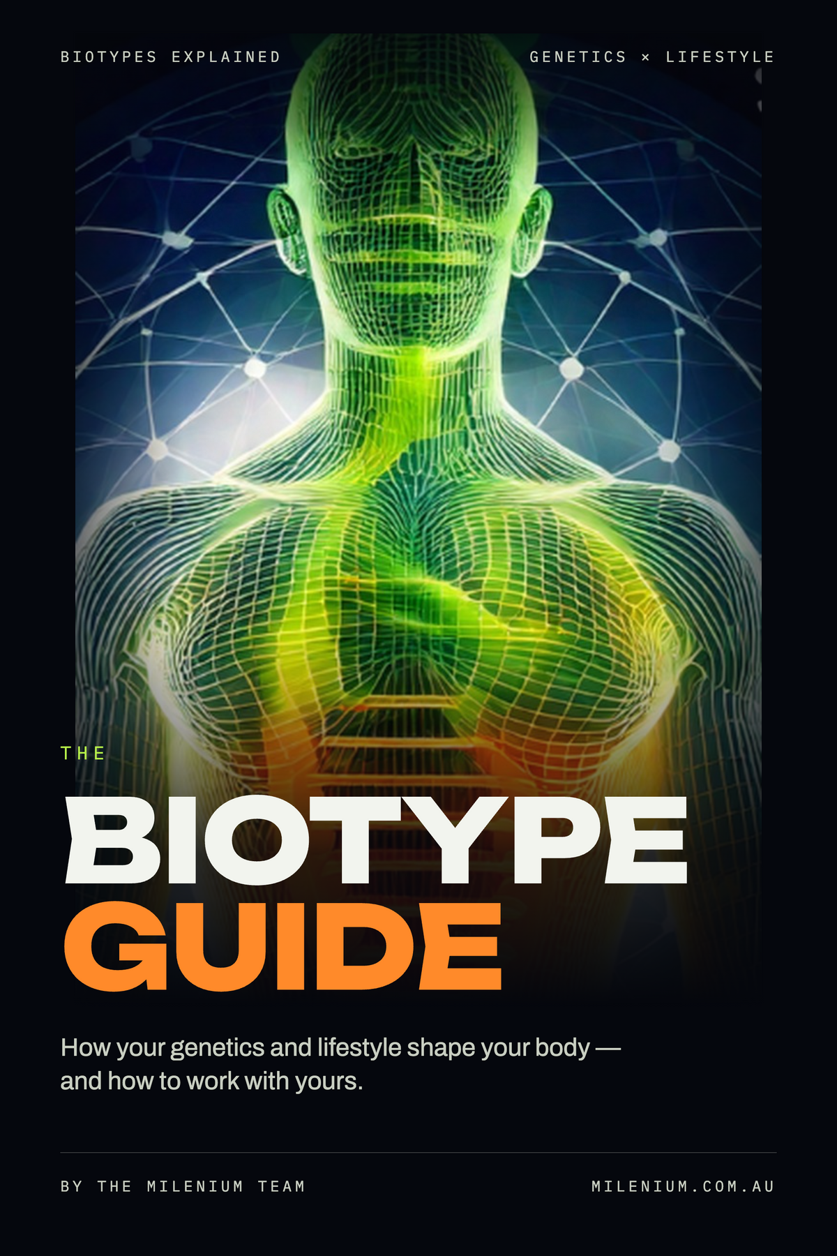 The Biotype Guide (Free): Ebook + Audio
