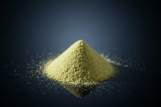 Fermented Plant Protein vs Regular: What the Digestibility Science Shows